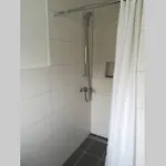 Am Mühlbach Apartment Sinsheim