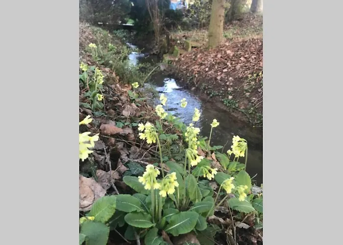 Am Muehlbach Lägenhet Sinsheim
